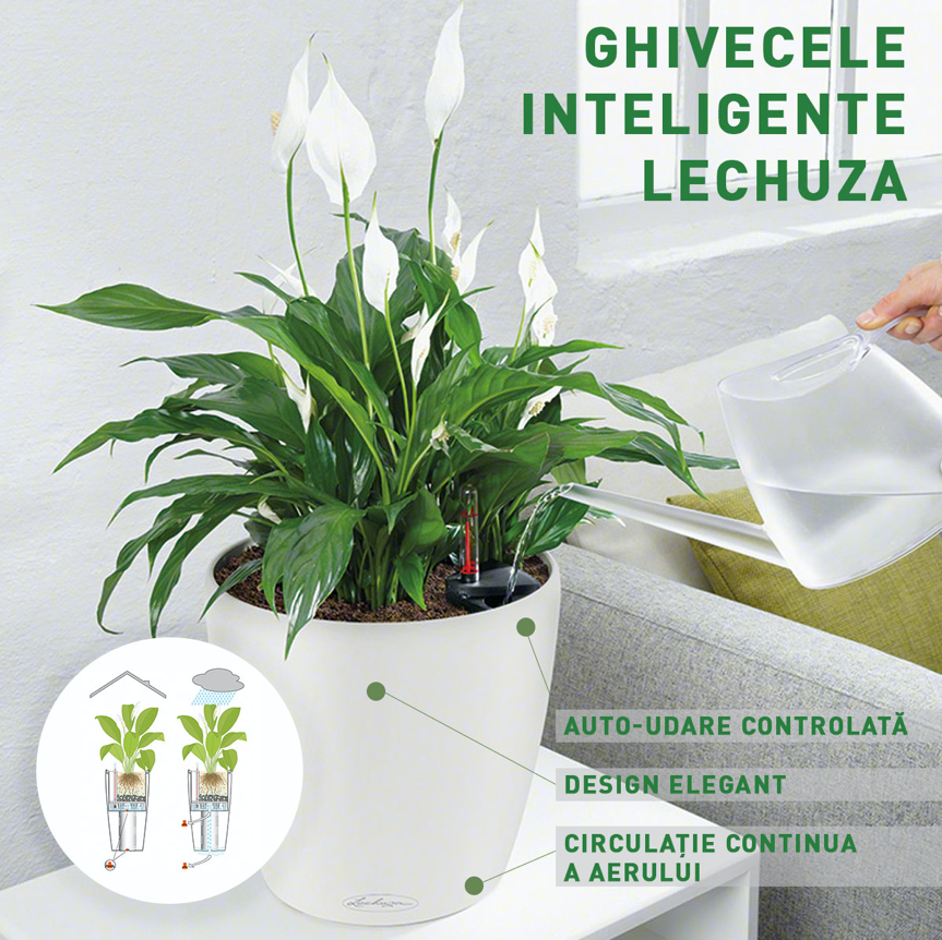 ghivece lechuza-floraria trias