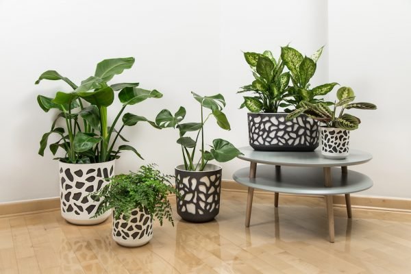 Ghiveci Lamela Duet - Set planter