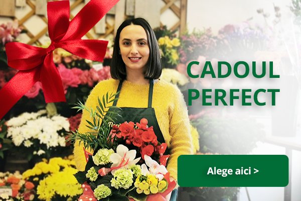 cadoul perfect banner mobile
