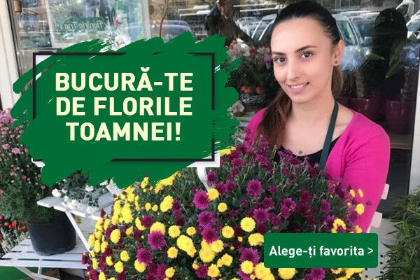 Florile Toamnei FLORARIA TRIAS banner_mobile (1)