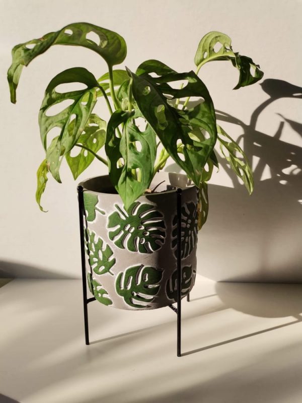 Ghiveci Ceramica Monstera 14 cm