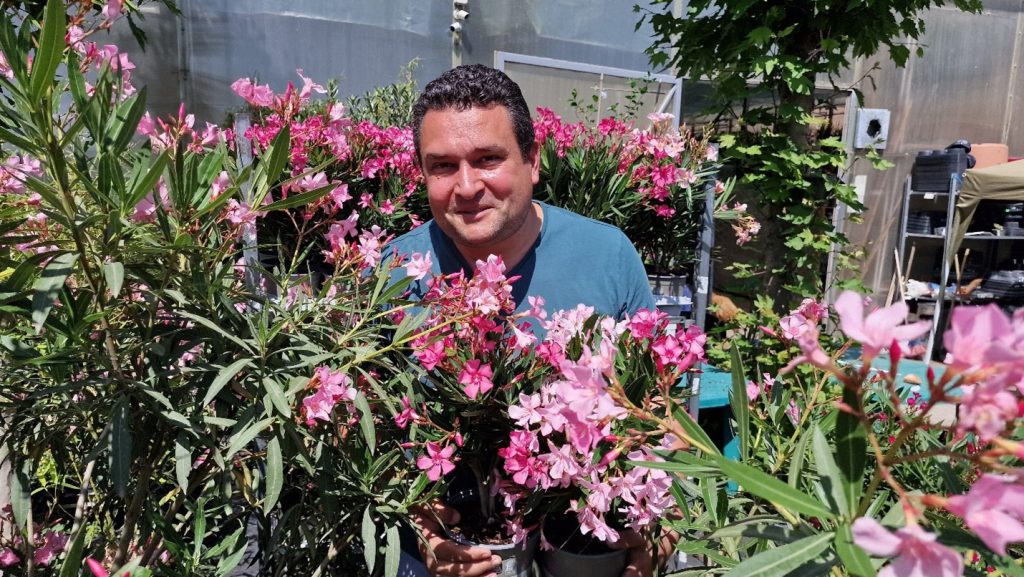 LEANDRUL – ATMOSFERA MEDITERANEI IN CASA TA.